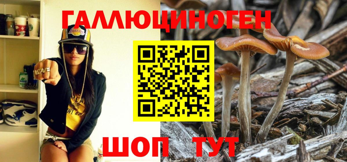 Галлюциногенные грибы мухоморы  Вход с VPN  Дятьково  Галлюциногенные грибы Psilocybe 