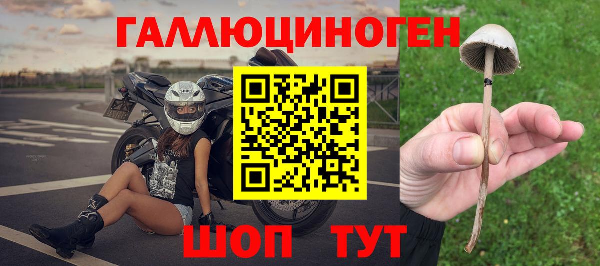 Галлюциногенные грибы Magic Shrooms Дятьково